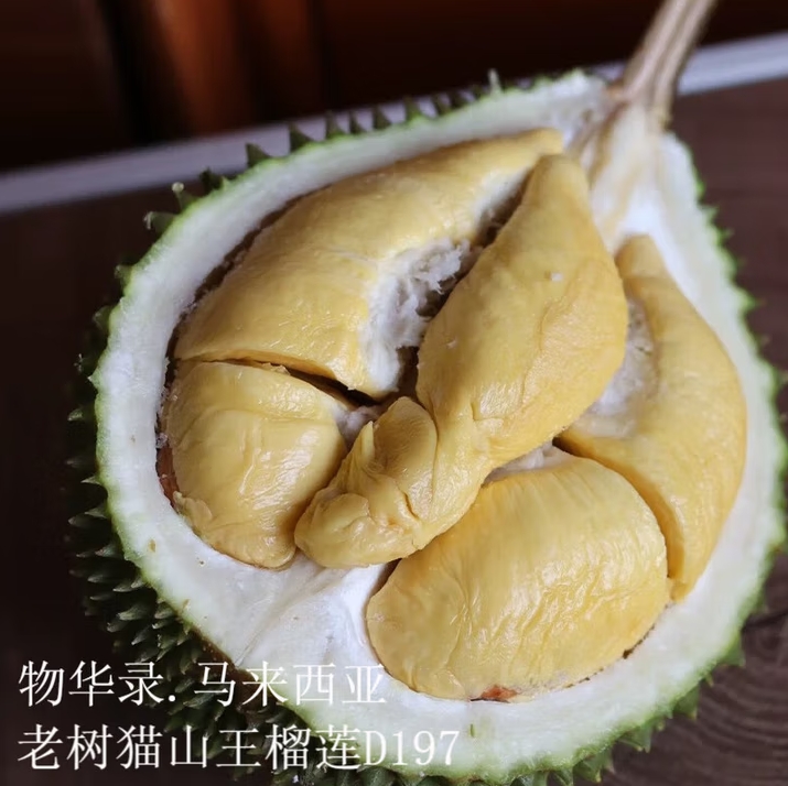 微信截图_20250630161433